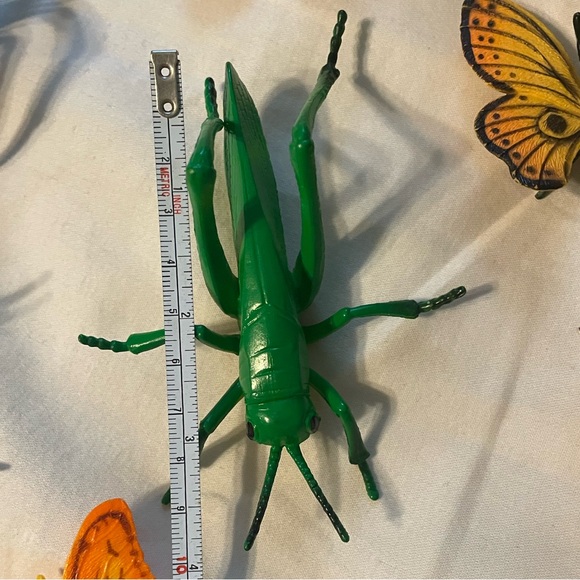 Colorful Insect and Butterfly Collection Box - Picture 7 of 10